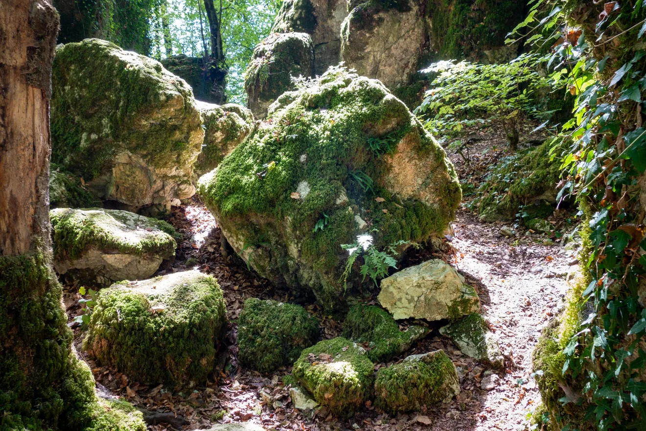 Wolfsschlucht