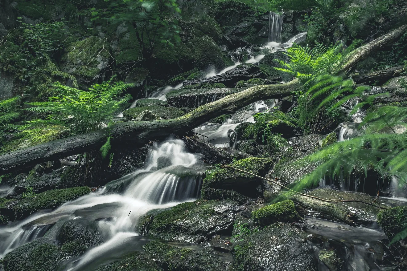 Laubach Wasserfall