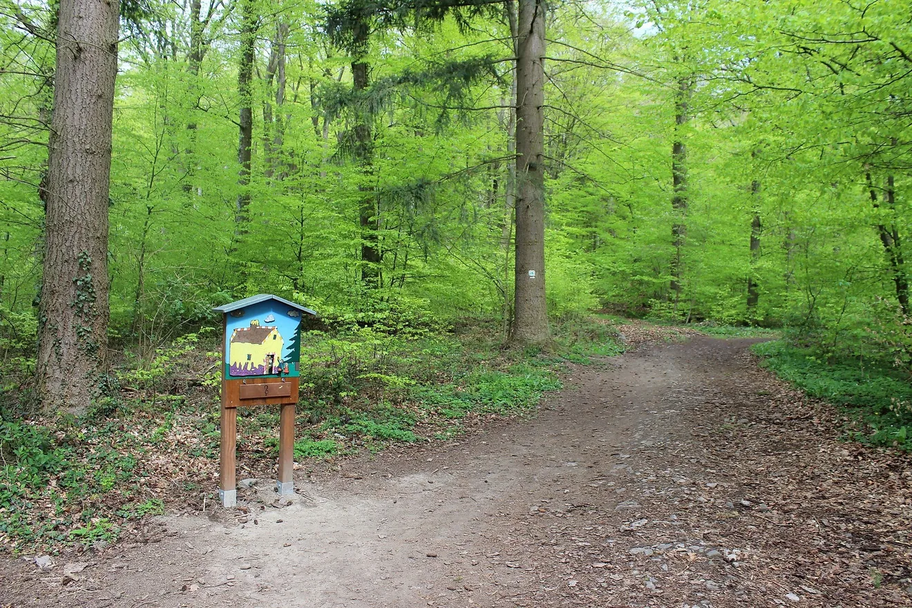Erlebniswald Steinrausch
