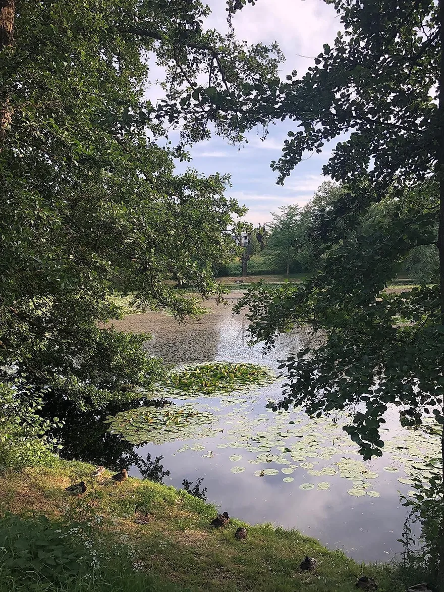 Mattheiser Weiher