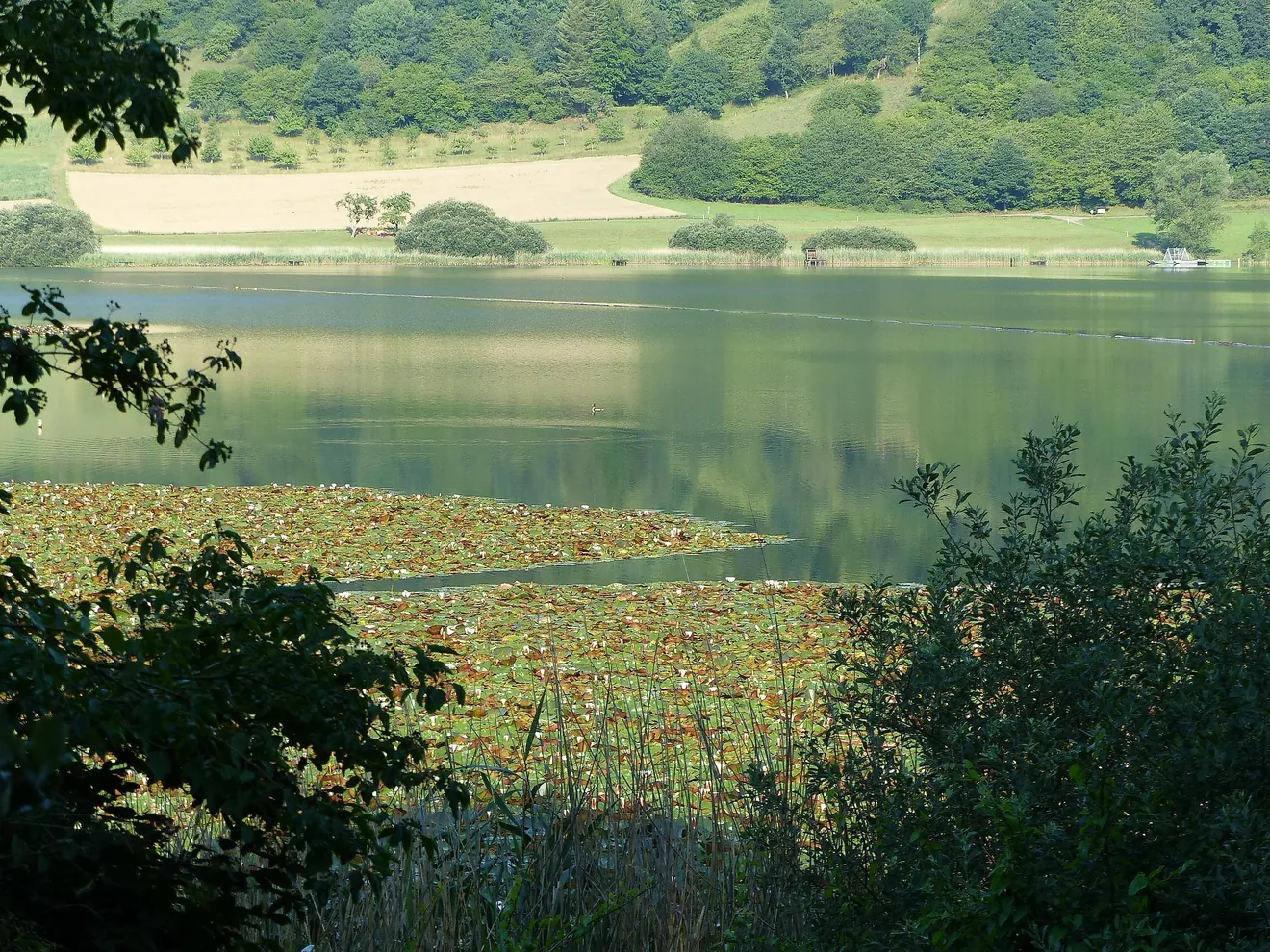 Naturfreibad Meerfelder Maar